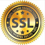 SSL secure shutterstock_119349946